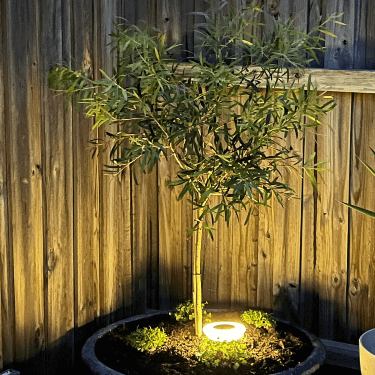LumiSpot Solar-Bodenstrahler für Einfahrt & Garten – Solarleuchte aus Stoff – Ansicht 6 von 7