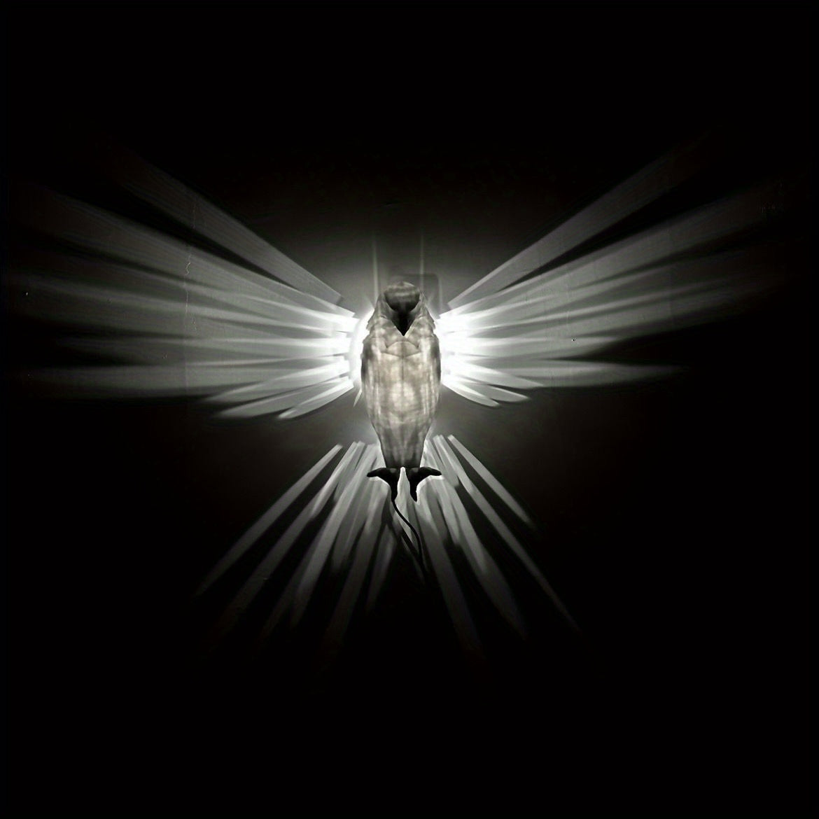 OwlBeam LED-Wanddeko Eule mit Stimmungslicht – Dekoleuchte – Ansicht 8 von 9
