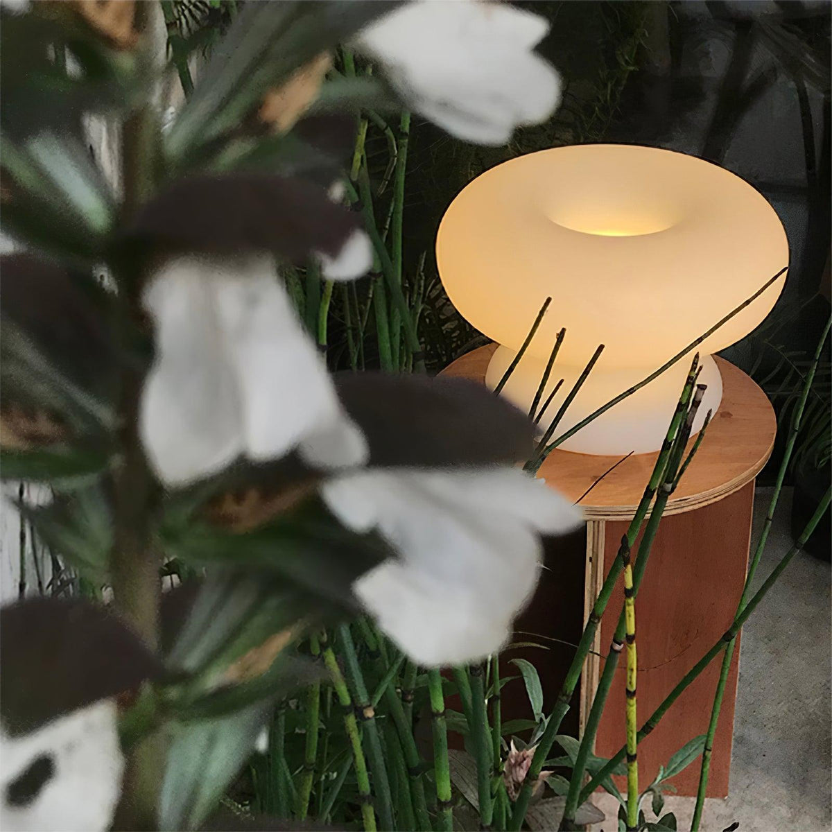 HaloLum Donut-Tischlampe mit warmem Licht – Tischleuchte – Ansicht 33 von 40